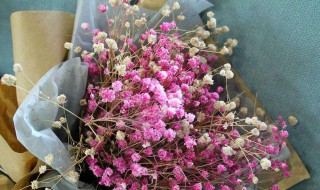 干花做了怎么保存 干花做了保存需注意事项