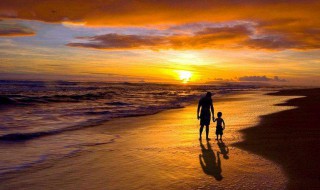 最感人父爱一句话 最感人父爱一句话列述