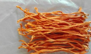 虫草花有什么功效和作用 虫草花有什么功效和作用是什么