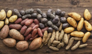 排骨土豆炖豆角的做法 美味排骨土豆炖豆角的做法