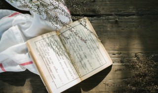 雁过留声人过留名下半句子 雁过留声人过留名的全文