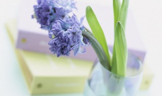 封面句子6个字 封面句子精选