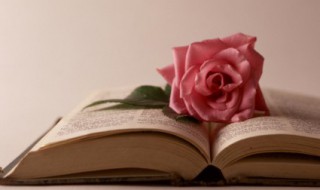 悲惨世界小说简介 悲惨世界小说的简述