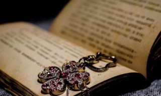 白鹿原小说简介 白鹿原小说介绍