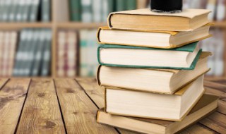 边城浪子小说简介 边城浪子小说简述