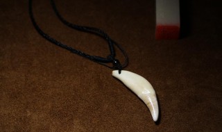 狼牙最简单的鉴别方法 怎么辨别狼牙