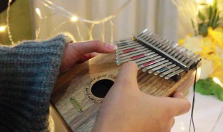 卡林巴琴初学者买什么样的琴好 卡林巴琴初学者买琴注意事项