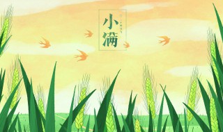 节气小满是什么意思 什么是小满节气
