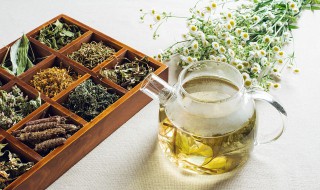 茉莉花茶的制作方法 茉莉花茶怎么做