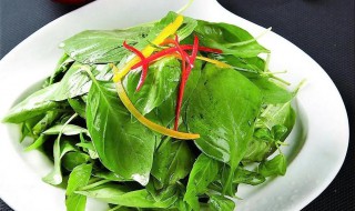 凉拌荆芥的做法 凉拌荆芥怎么做