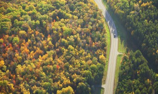 森林火灾应急救援方法 如何解决森林火灾