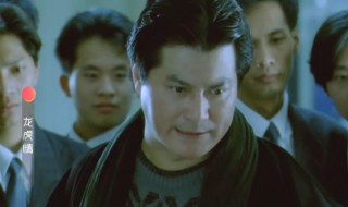 龙虎情电影简介 龙虎情电影简介绍