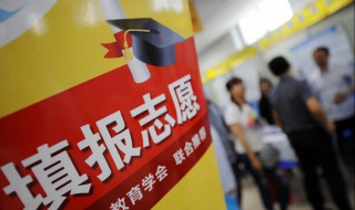 专业组志愿怎么填 专业组怎么填志愿