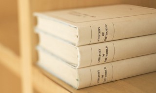 应用英语和商务英语哪个好 应用英语和商务英语怎么选