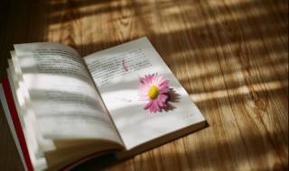 不喧哗自有声的意思 不喧哗自有声是什么意思