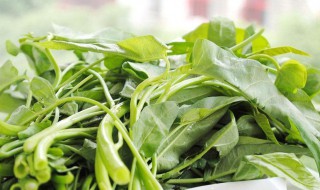 空心菜如何清洗 空心菜怎么清洗