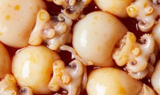 如何清洗墨鱼仔 清洗墨鱼仔的方法