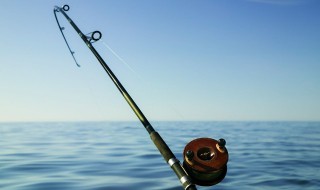 钓大鱼有什么饵料 钓大鱼要用什么饵料