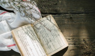 佞什么意思 佞的解释