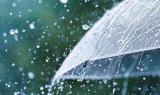 皮鞋雨天为什么会漏水 皮鞋雨天为何会漏水