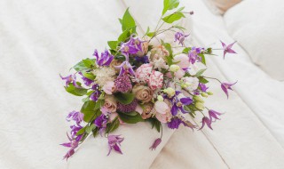 鲜花保鲜柜的最佳温度 鲜花保鲜柜的最佳温度在几度