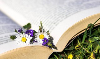 少壮不努力老大徒伤悲什么意思 少壮不努力老大徒伤悲解释