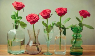 鲜花保鲜时间多长 鲜切花保鲜方法分享