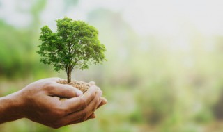 关于环保的手抄报内容 关于环保的相关知识