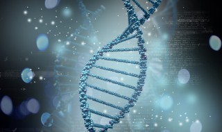 基因的表达概念是什么 基因的表达概念介绍