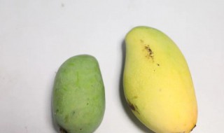 芒果外面有黑斑能吃吗 芒果外面有黑斑还可以吃吗