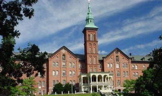 藤校指的是什么学校 藤校介绍