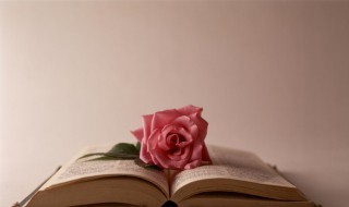 笑看风云是什么意思 笑看风云的解释