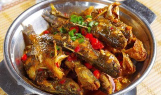 干锅昂公的做法 干锅昂公鱼怎么做