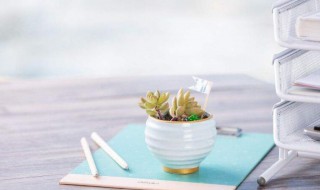 素不相识是什么意思 素不相识简单释义