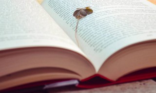 赞美爱读书的孩子句子 鼓励孩子读书的美句