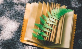 关于abcc的四字词语 abcc的四字词语有哪些