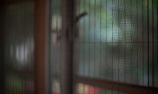 如何用报纸清洗纱窗 巧妙清洁纱窗方法分享