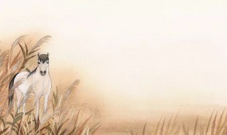 非意相干意思 非意相干解释