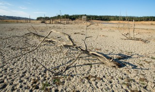 关于非洲缺水的资料 非洲缺水的资料介绍