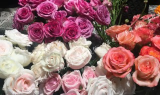 花店买的玫瑰花瓣可以做什么 花店买的玫瑰花瓣可以用来做什么