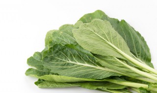 梅干菜是什么菜晒干的 梅干菜是哪种菜晒干的