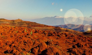 红土是什么土 红土所属的土简介