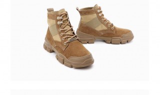 猪巴戈是什么 猪巴戈介绍