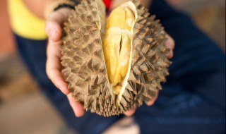 榴莲生的怎么办 生的榴莲如何催熟