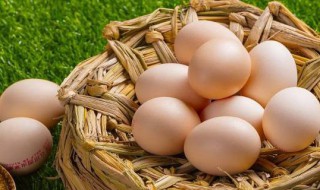 鸡蛋会游泳的原理是什么 鸡蛋会游泳的原理分析