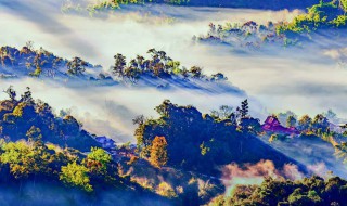 勐海在云南的什么地方 勐海的位置