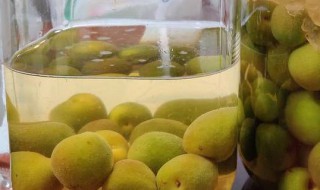 青梅露有泡沫怎么办 青梅露有泡沫的解决方法