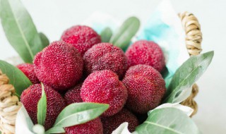 杨梅储存方法和时间 关于杨梅储存方法和时间