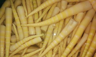 水竹笋又叫什么笋 水竹笋介绍