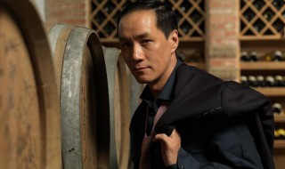 冯远征资料 关于冯远征的介绍